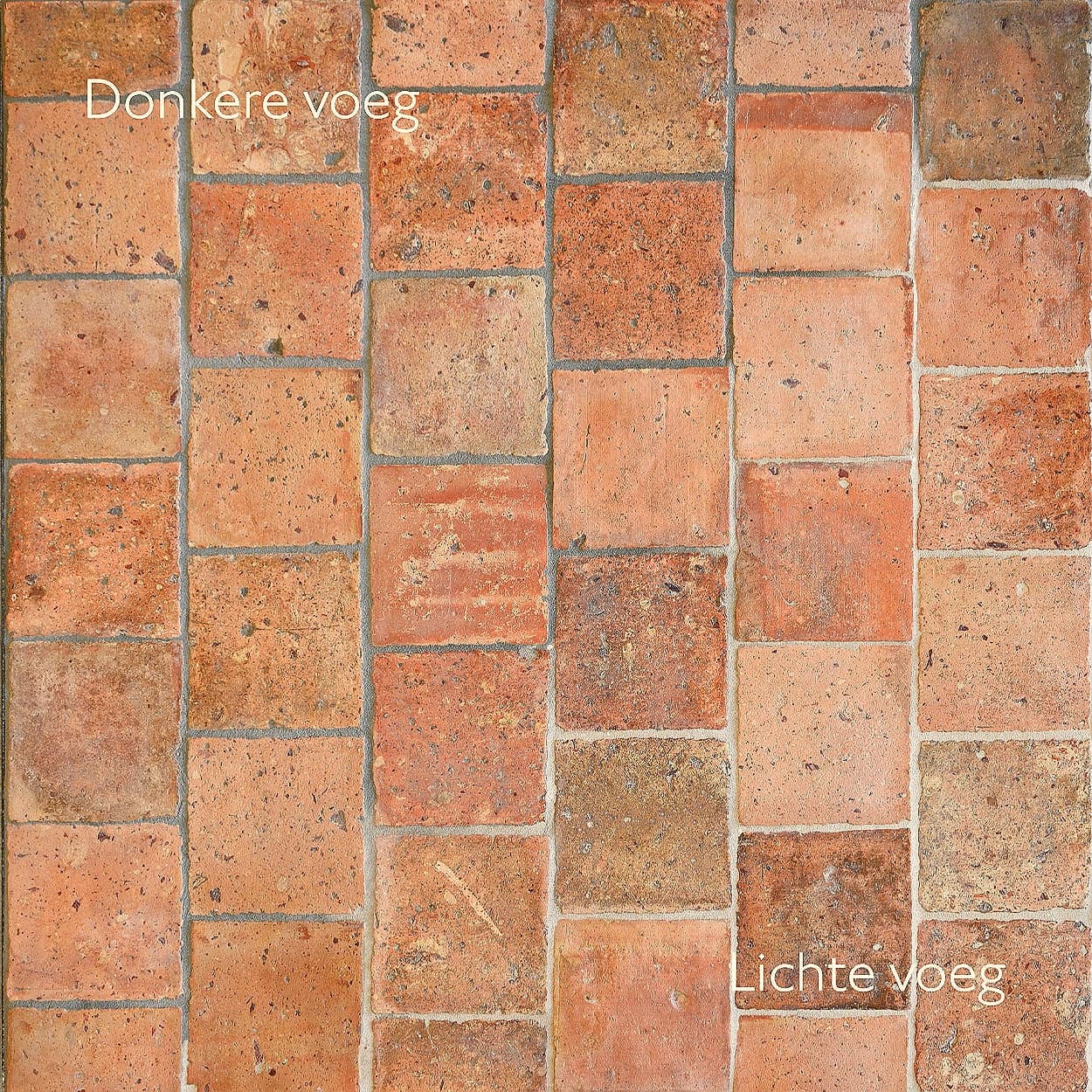 Antique Tiles Terra