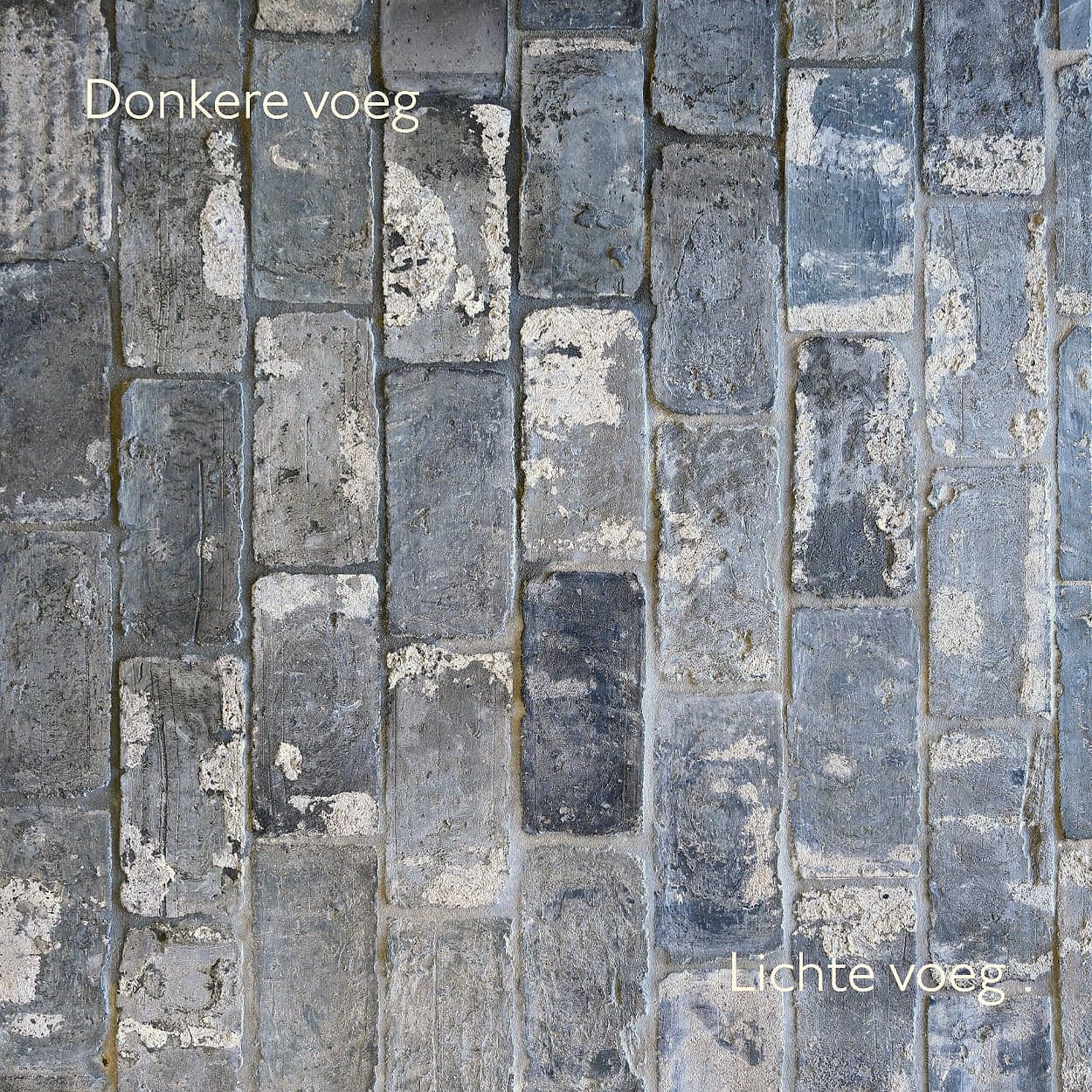 Vintage Pavers Blue